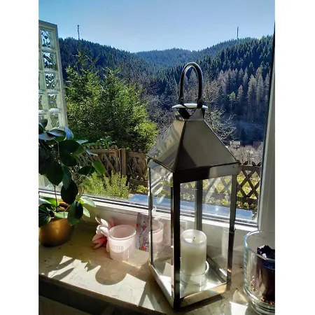 Ferienwohnung Panoramablick Harz *