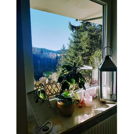 شقة Ferienwohnung Panoramablick Harz *